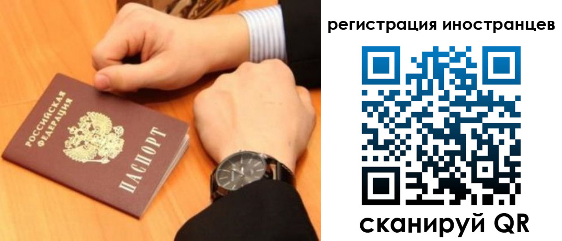 прописка гарантия в Каменке